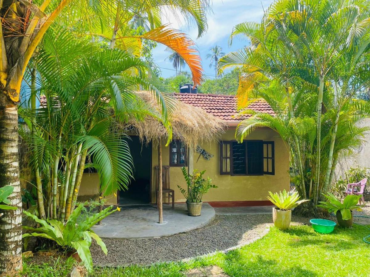 Mango Place Hikkaduwa Bagian luar foto
